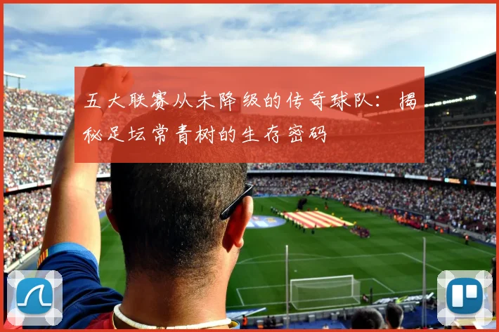五大联赛从未降级的传奇球队:揭秘足坛常青树的生存密码